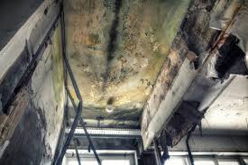 Best Industrial Mold Remediation  in La Huerta, NM